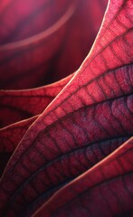 Close-up view of intricate leaf veins.