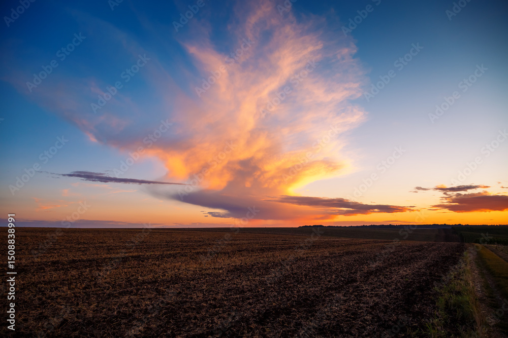 Poster Dazzling sunset over an open field with colorful clouds in the soft evening sky.