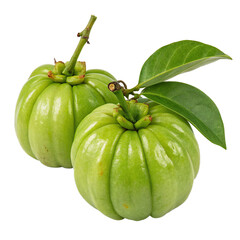 Fresh garcinia atroviridis fruit isolated on transparent background
