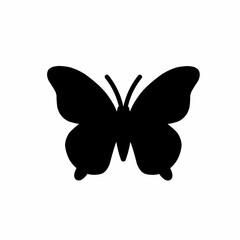 butterfly vector illustration