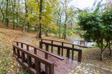 Wooden Boardwalk Bridge Through Autumn Park With Colorful Fall Trees And Golden Leaves On Forest Path