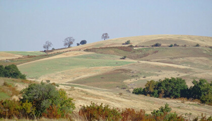 Obraz premium Textured oil painting illustration of rolling hills and sparse trees in a serene landscape. Earth tones background.