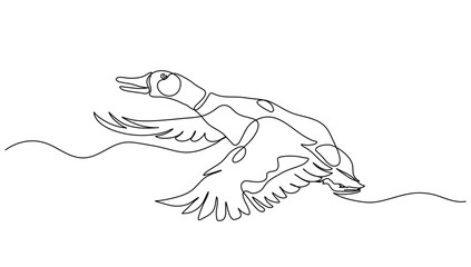 Continuous Line Art of Mallard Duck Flying &ndash; Minimalist Vector Illustration for Educational Materials, Nature Decor, Farm Posters, and Wildlife Designs
