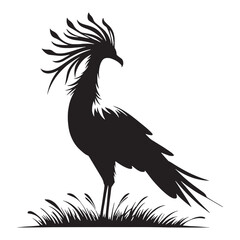 Sharp beak and steady stance – Secretary bird silhouette – Secretary bird illustration – Minimalist Secretary bird vector – Bird silhouette

