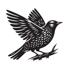 Bold Starling silhouette with focused gaze – Starling illustration – Minimalist Starling vector – Bird silhouette

