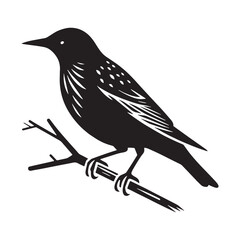 Starling silhouette with sleek lines and bold stance – Starling illustration – Minimalist Starling vector – Bird silhouette

