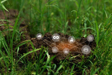 Digital Connection Symbols on Soil Surface in Green Grass Environment