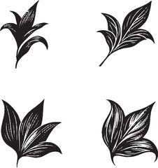 Black and White Stylized Leaf Illustrations with Unique Vein Patterns