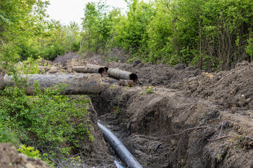 Abandoned pipe system in woodland area with overgrown vegetation