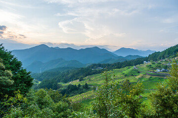 丸山千枚田と山々が織りなす夏の夕景