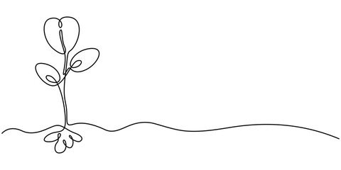 continuous line drawing representing a growing plant with leaves, Young Plant Growing. Continuous line drawing sprout with leaves isolated on white background. Poster with seedling.