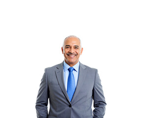 Smiling Mature Businessman in Gray Suit with Blue Tie Portrait