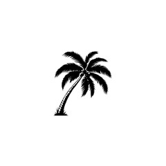 Minimalist black silhouette of Palm tree vector on white background. 