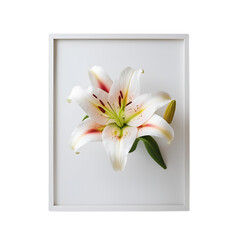 Colorful Floral Frame with a Simple Unique Touch
