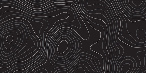 Background of the black and grey topographic map. Topographic map lines, contour background. Design illustration for wall art, fabric, packaging, web, banner, app, wallpaper.