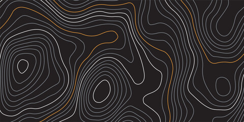 Luxury gold and white  abstract line art background. Background of the topographic map. Topographic map lines, contour  background. Geographic abstract grid. EPS 10 vector illustration.