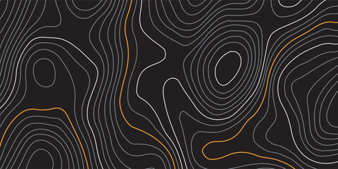 Luxury gold and white abstract line art background. Background of the topographic map. Topographic map lines, contour  background. Geographic abstract grid. EPS 10 vector illustration.