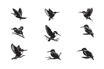 Fototapeta premium Bird Silhouette vector art illustration. black bird vector design.