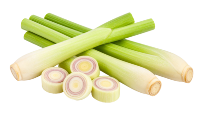Fresh lemongrass stalks and slices isolated on transparent background