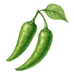 Watercolor illustration of two green jalapeno peppers with leaf healthy fresh vegetable