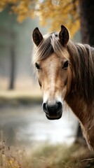 Obraz premium Beautiful horse stands by the water amidst autumn foliage in a tranquil forest setting during early morning light