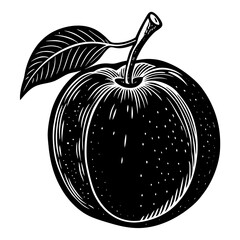 vector illustration of an apple