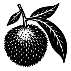 vector illustration of an apple