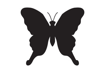 butterfly isolated on white