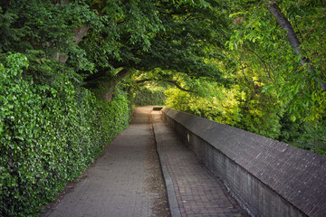 A peaceful brick-paved footpath and cycle lane runs along the old city wall in the Wilhelmina Park in the old Dutch city of Enkhuizen shaded by overhanging trees.