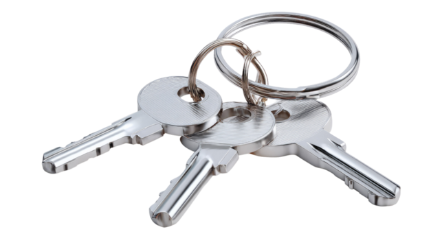 Keychain Keys: A close-up shot of three shiny silver keys attached to a circular keychain, highlighting the everyday item's intricate details.