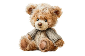 Obraz premium PNG Cute fluffy teddy bear with grey sweater on white background