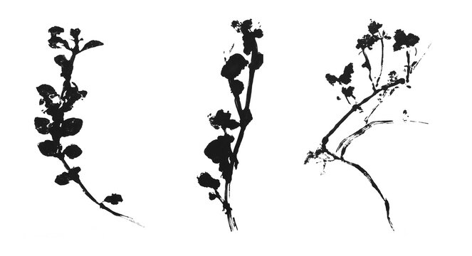 black monoprint of plants isolated on white background