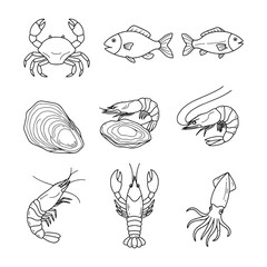 Seafood Line Art Illustrations Crabs, Fish, Shrimp, Lobster, Oysters, and Squid