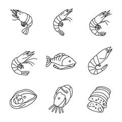 Seafood Line Art Illustrations Shrimp, Fish, and Shellfish Drawings