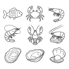 Collection of Line Art Drawings Seafood, Fish, Crustaceans, and Shellfish Illustrations