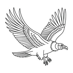 Obraz premium California Condor Flying Coloring Page, Silhouette, Vector, Illustration, Outline, Logo, White Background.