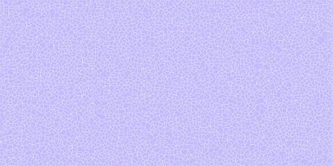 Visual Echoes of an Algorithmic Shatter

