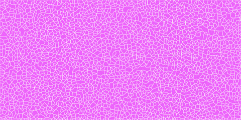 Mapped Evolution of Geometric Patterns

