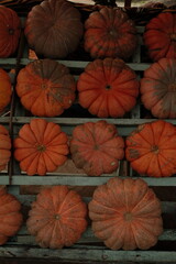 pumpkins