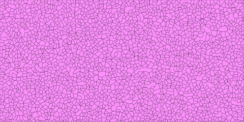 Cellular Tapestry of Algorithmic Nature

