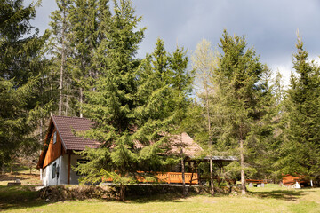 Small wooden cottage among trees for camping.