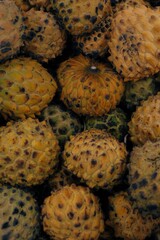 Fruta do Conde