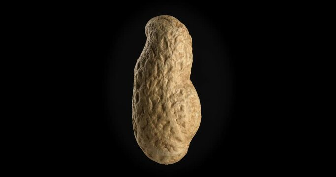Peanuts in shell spinning on a black background.