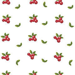 Small Cranberry Pattern on White Background