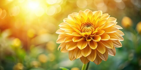 Vibrant golden flower with delicate petals , garden, flowers,  garden, flowers, arrangement, colorful, greenery, yellow, foliage