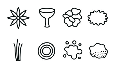 Decorative element icons for design – floral, geometric, natural patterns