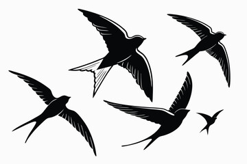 Obraz premium Black and white vector illustration of several flying swallows silhouette art
