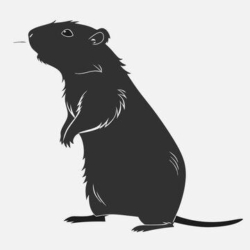 recommend clip art: Black silhouette of standing groundhog vector illustration wildlife animal rodent