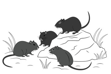 Cartoon illustration of four cute gray gerbils on rocks and grass