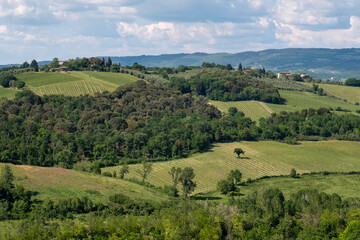 Obraz premium View of the Tuscan hills in the Orcia Valley, Tuscany, Italy near Pienza. 